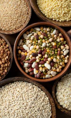 indian-spices-exporter-cumin-fennel-fenugreek