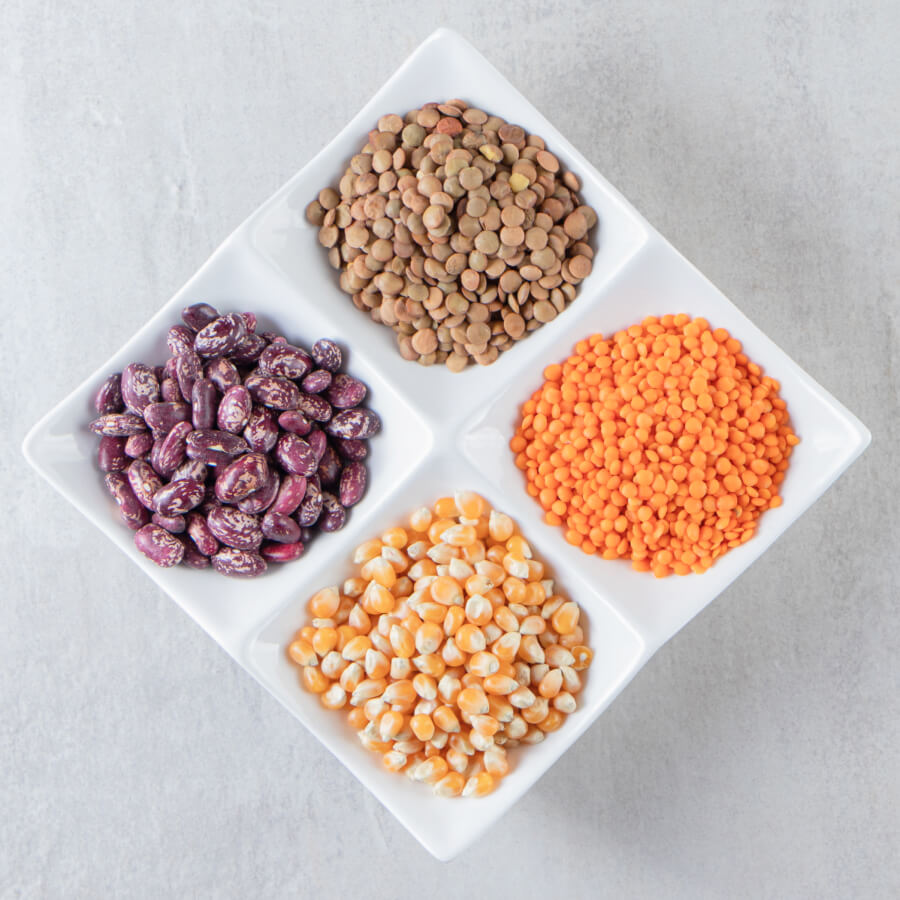 panth-overseas-sortex-cleaned-agriculture-commodities